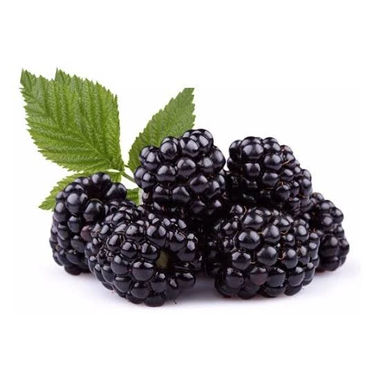 CONGELADO FRUTA MORA (10 UNIDADES)