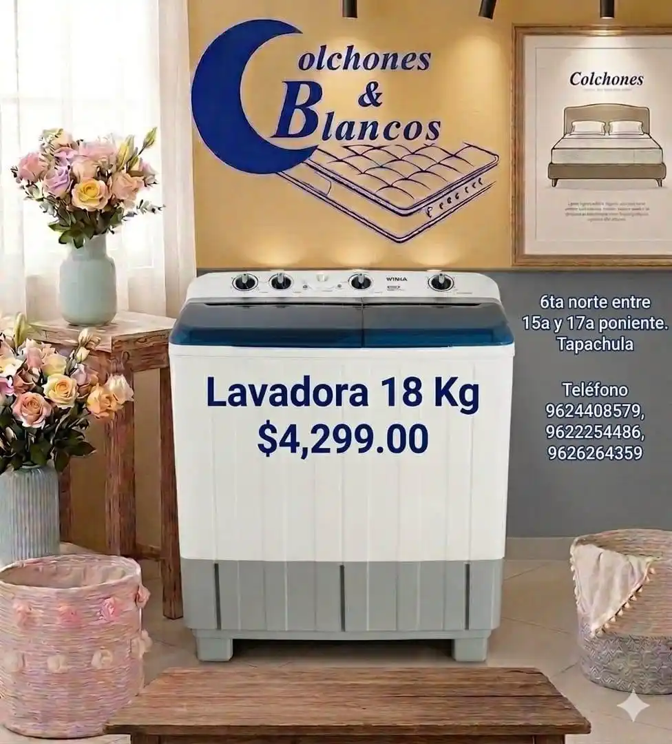 LAVADORA  WINIA DWM-K363PWA DOBLE TINA 18 KG