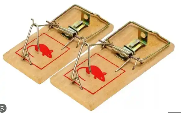 TRAMPA DE RATON PEQUEÑA PAR