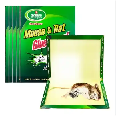 TAPETE MATA RATA VERDE