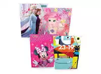 CARPETA SEGURIDAD LIGA PLASTICA NIÑA PRIMAVERA 1225