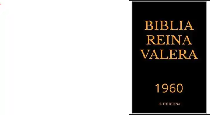 BIBLIA REINA VALERA PD 0226+