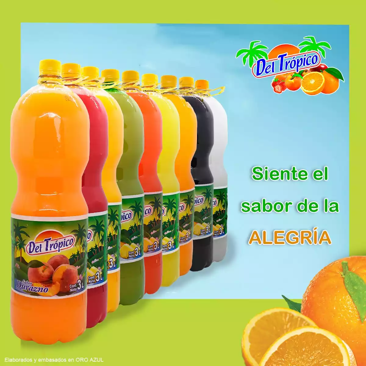 Jugo del Tropico de 2 Litro