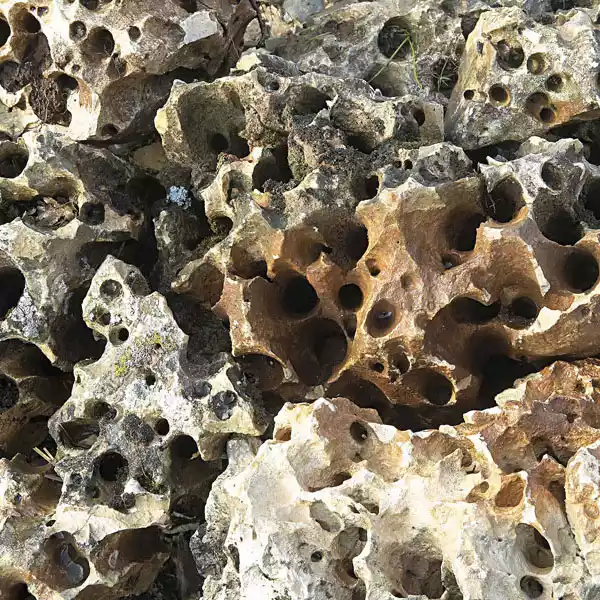 Piedra dragon rocalla para hardscape