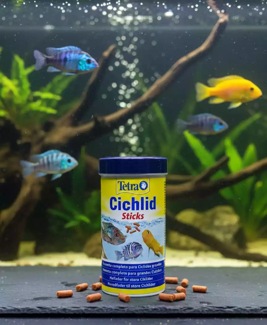 Alimento Tetra Cichlid Sticks 75 gramos