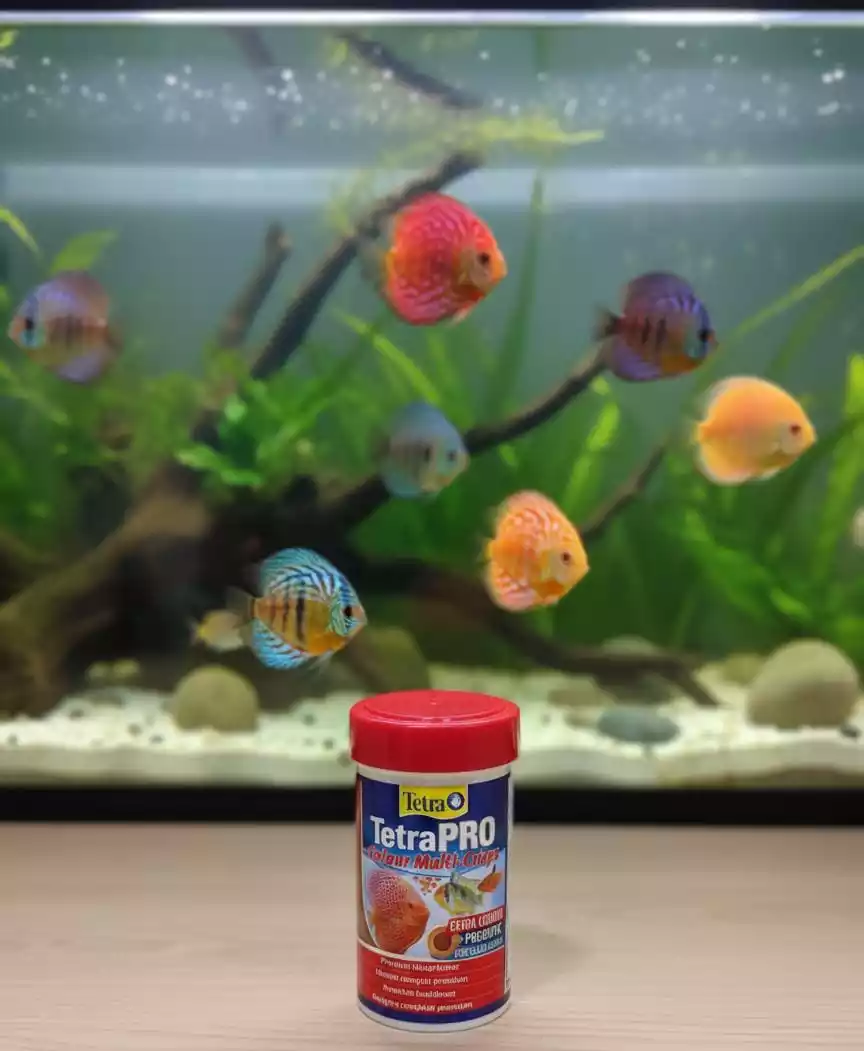 Alimento Tetra Pro colour multi-crisps 20gr