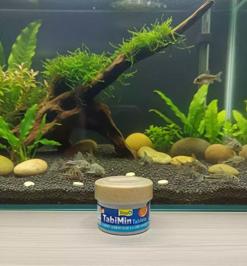 Alimento tetra tabimin 58 tabletas