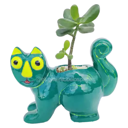 Matera Gato Tejada /Suculenta