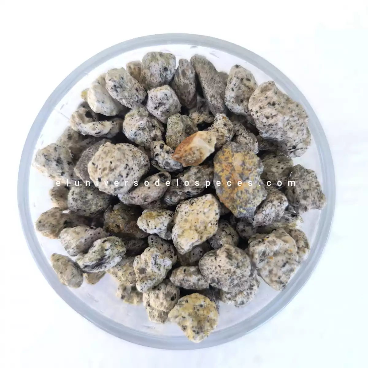 Piedra pomez material filtrante x kilo