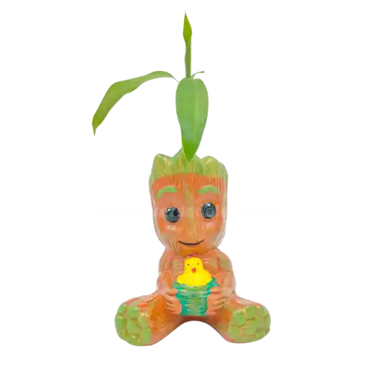 Matera groot pollito/ palma