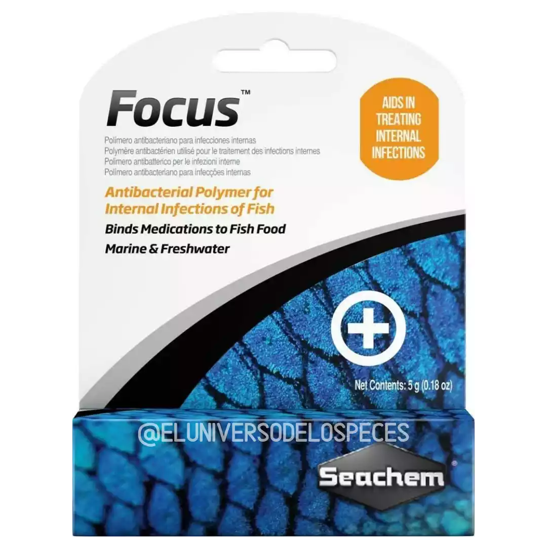 Focus