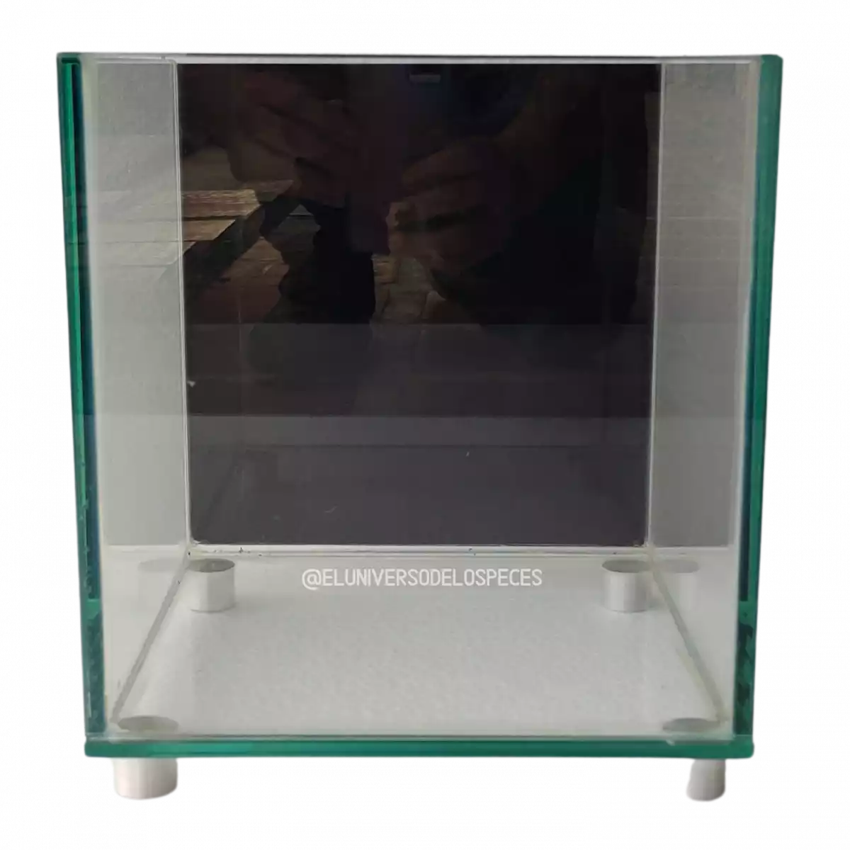 Acuario cubo 15 litros vidrio 8mm