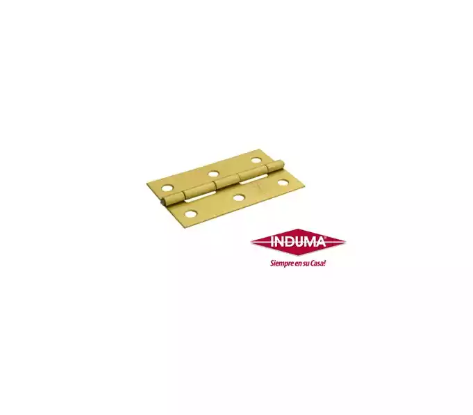 BISAGRA COMUN LATON INDUMA 1 UND