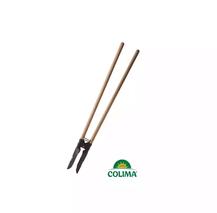 PALADRAGA COLIMA CABO MADERA
