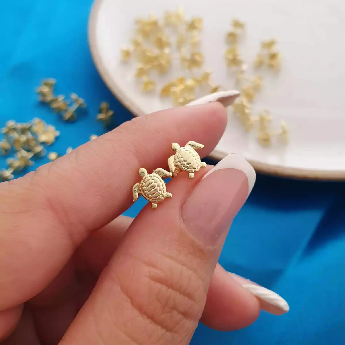 EXC. ARETE TURTLE / REF. - 34162