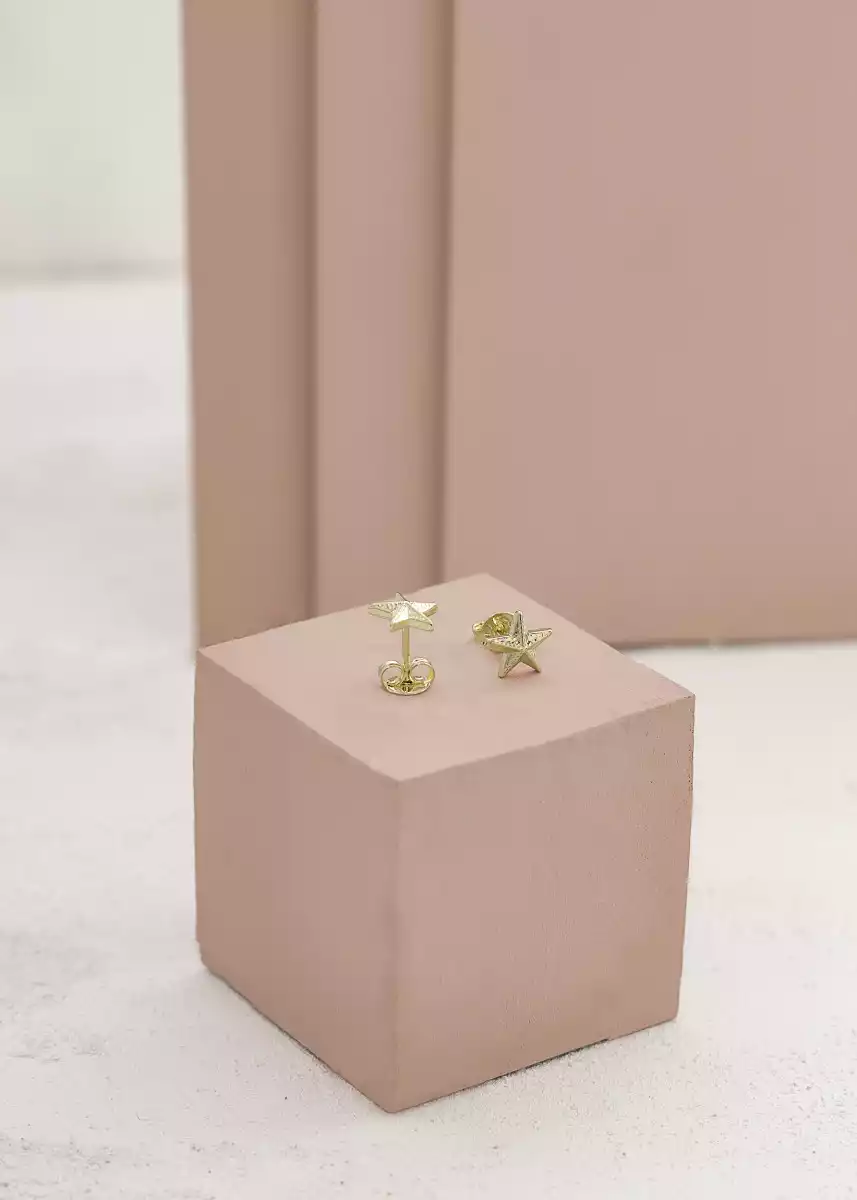 ARETES ESTRELLA  DE MAR / REF. - 34154