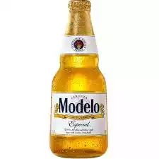 MODELO ESPECIAL 355