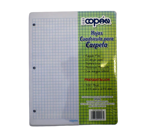 HOJAS CUADRICULAS PARA CARPETAS