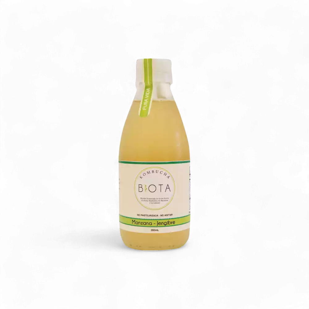 kombucha Biota manzana-jengibre 280ml