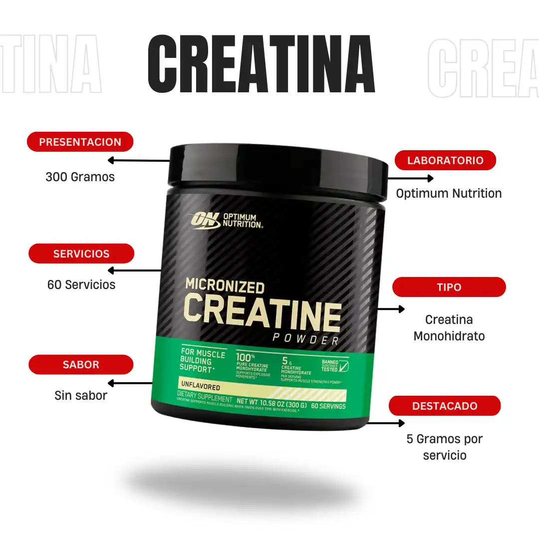 creatina ON LBZ 300g