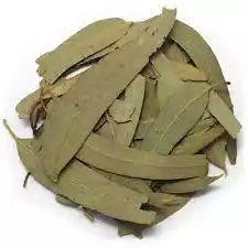 Eucalipto salugran 125gr