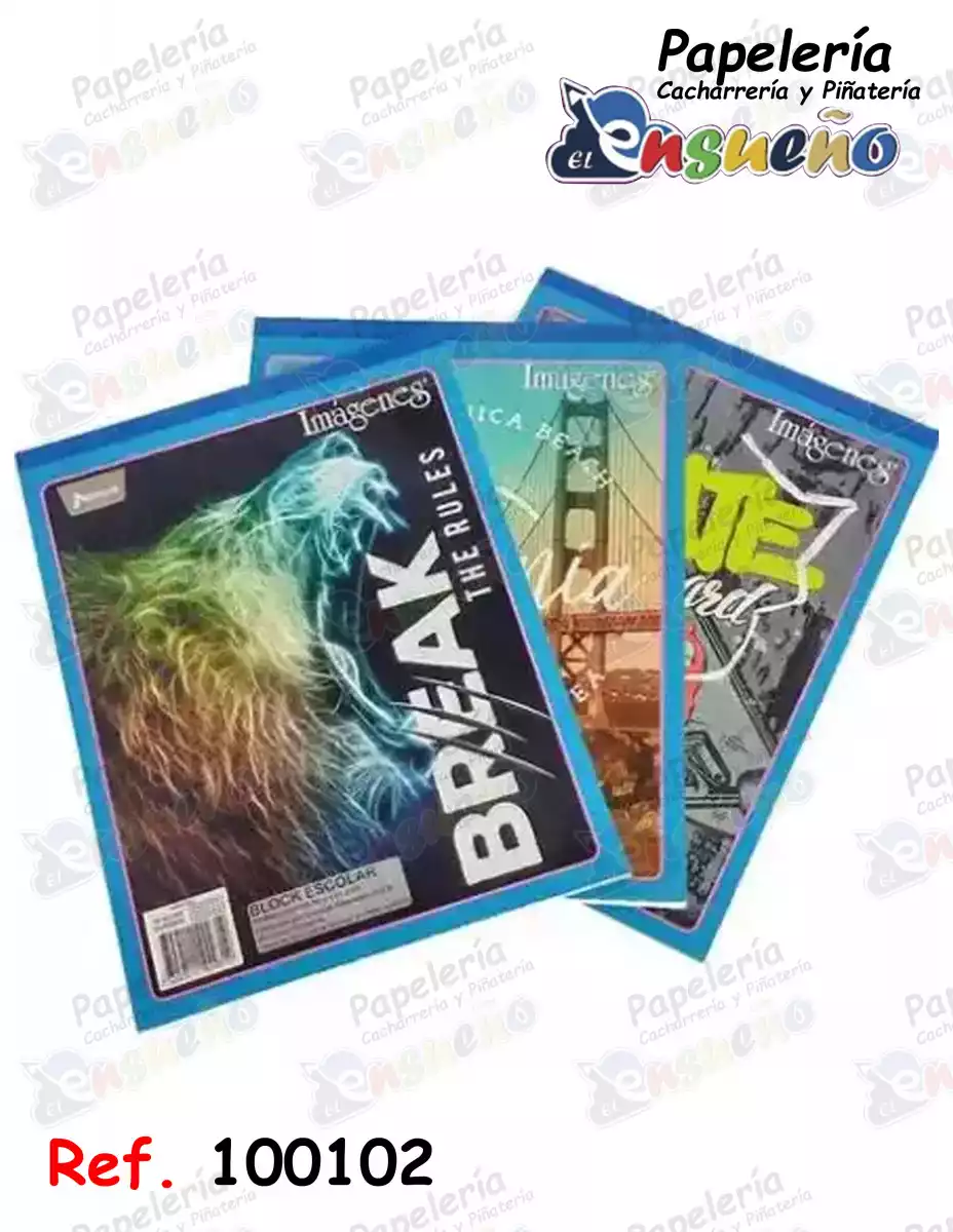 BLOCK CUADRICULADO TAMAÑO CARTA NORMA-IMAGENES *70HJ