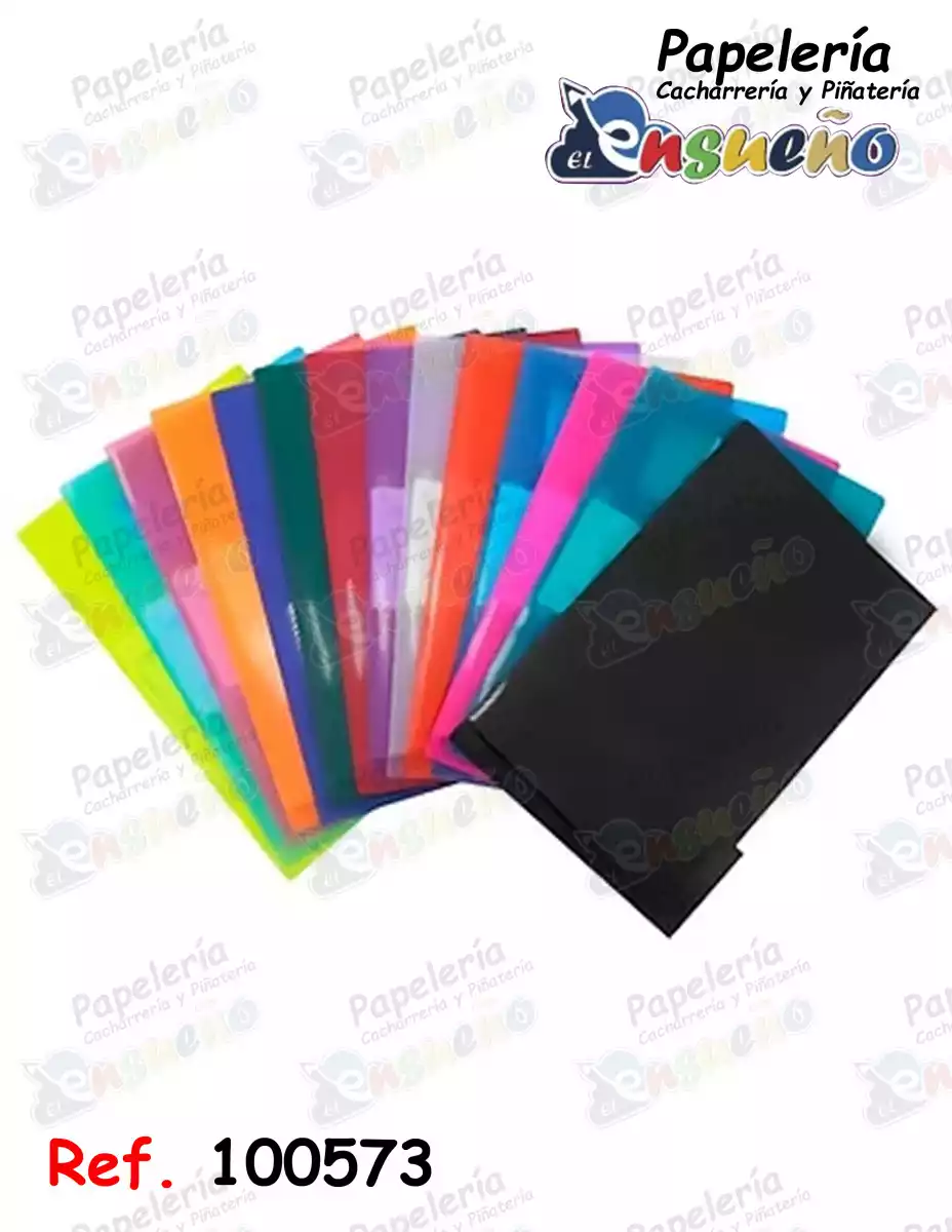 CARPETA LEGAJADORA PLASTICA CARTA