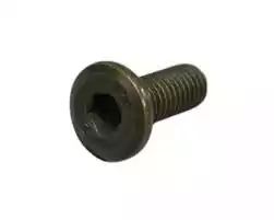 Tornillo Disco Del TTR Rp