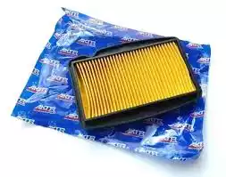 Elemento Filtro Aire 250R Rp